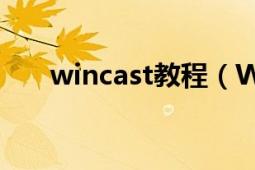 wincast教程（WinTalent怎么注冊）