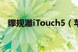 鑻規(guī)灉iTouch5（蘋果itouch5配置如何）