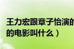 王力宏跟章子怡演的電影（章子怡和王力宏演的電影叫什么）