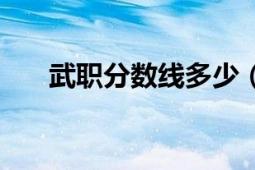 武職分?jǐn)?shù)線多少（武職的大概分?jǐn)?shù)線）