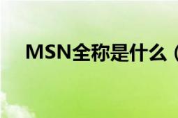 MSN全稱是什么（MSN的格式是什么）