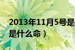 2013年11月5號是什么命（2013年5月11日是什么命）