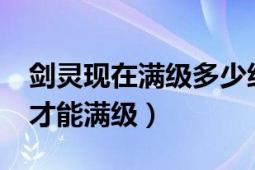 劍靈現(xiàn)在滿級(jí)多少級(jí)（劍靈滿級(jí)多少?多少級(jí)才能滿級(jí)）