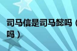 司馬信是司馬懿嗎（歷史上有司馬云信這個人嗎）