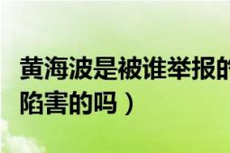 黃海波是被誰舉報的（有誰知道黃海波是被誰陷害的嗎）