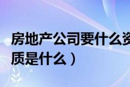 房地產(chǎn)公司要什么資質（房地產(chǎn)開發(fā)公司的資質是什么）