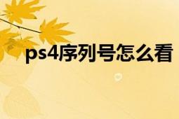 ps4序列號怎么看（ps4的序列號是啥?）