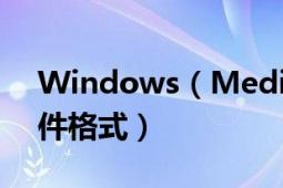 Windows（Media Player 12 支持哪些文件格式）