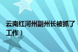 云南紅河州副州長(zhǎng)被抓了（云南紅河如何回應(yīng)官員11歲參加工作）