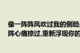 像一陣陣風(fēng)吹過(guò)我的側(cè)臉是什么歌（歌詞,一陣風(fēng)雨吹過(guò),一陣心痛掠過(guò),重新浮現(xiàn)你的臉是什么歌名）