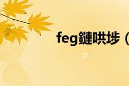 feg鏈哄埗（FEG管理體系）