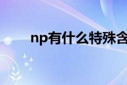 np有什么特殊含義（NP 其他含義）