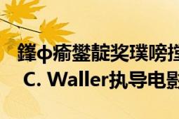 鎽ф瘉鐢?shù)濯勮眴鐡＃ù輾?美國2013年Josh C. Waller執(zhí)導電影）