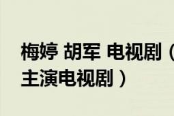 梅婷 胡軍 電視?。q月 2007年胡軍、梅婷主演電視劇）