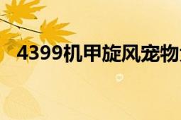 4399機甲旋風寵物大全（4399機甲旋風）