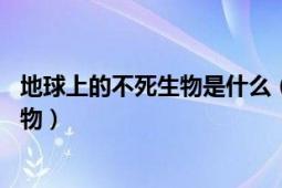 地球上的不死生物是什么（不死生物 現(xiàn)實(shí)中以及虛構(gòu)中的生物）