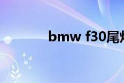 bmw f30尾燈（BMW F30）