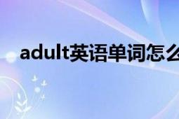 adult英語單詞怎么讀（adult 英語單詞）