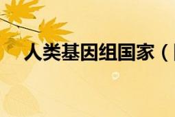 人類基因組國家（國際人類基因組組織）