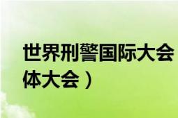 世界刑警國(guó)際大會(huì)（國(guó)際刑警組織第86屆全體大會(huì)）