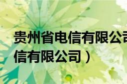 貴州省電信有限公司 辦公室主任（貴州省電信有限公司）