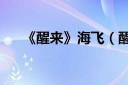 《醒來》海飛（醒來 海飛著長篇小說）