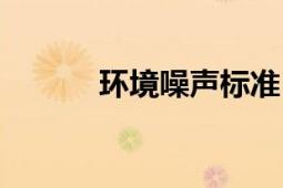 環(huán)境噪聲標(biāo)準(zhǔn)（環(huán)境噪聲標(biāo)準(zhǔn)）