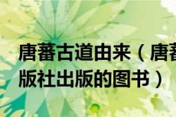 唐蕃古道由來（唐蕃古道 2004年中國青年出版社出版的圖書）