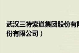 武漢三特索道集團股份有限公司簡介（武漢三特索道集團股份有限公司）