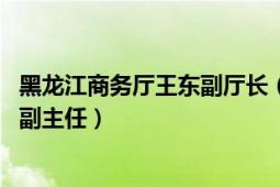 黑龍江商務(wù)廳王東副廳長（王曉松 黑龍江省政府外事辦公室副主任）