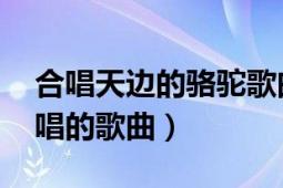 合唱天邊的駱駝歌曲（天邊的駱駝 呼斯楞演唱的歌曲）