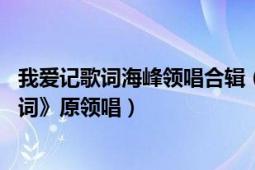 我愛記歌詞海峰領唱合輯（劉海峰 音樂制作人、《我愛記歌詞》原領唱）