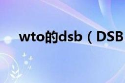 wto的dsb（DSB WTO爭端解決實體）