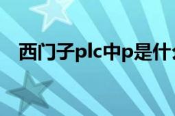 西門子plc中p是什么指令（西門子plc中）