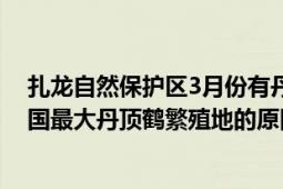 扎龍自然保護(hù)區(qū)3月份有丹頂鶴嗎（扎龍自然保護(hù)區(qū)成為我國(guó)最大丹頂鶴繁殖地的原因是什么）