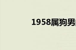 1958屬狗男的婚姻（1958）