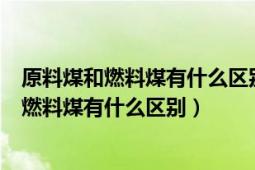 原料煤和燃料煤有什么區(qū)別（原料煤與燃料煤區(qū)別原料煤與燃料煤有什么區(qū)別）