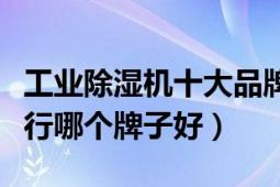 工業(yè)除濕機十大品牌價格（除濕機十大品牌排行哪個牌子好）