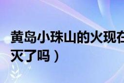 黃島小珠山的火現(xiàn)在滅了嗎（黃島小珠山大火滅了嗎）