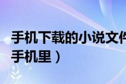 手機下載的小說文件在哪里（如何下載小說到手機里）