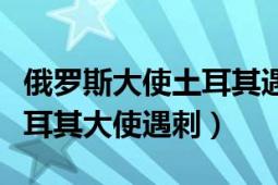 俄羅斯大使土耳其遇刺（如何看待俄羅斯駐土耳其大使遇刺）