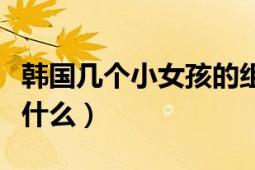 韓國(guó)幾個(gè)小女孩的組合（韓國(guó)最小女子組合是什么）