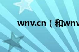 wnv.cn（和wnv.gaming有啥區(qū)別）