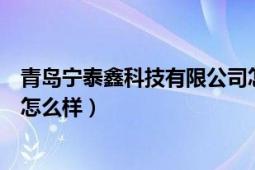 青島寧泰鑫科技有限公司怎么樣（青島宏鑫寶科技有限公司怎么樣）