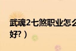 武魂2七煞職業(yè)怎么加點（武魂2七煞轉(zhuǎn)什么好?）