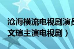 滄海橫流電視劇演員表（滄海橫流 2014年趙文瑄主演電視?。?></div></a><div   id=