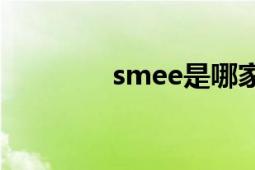 smee是哪家公司（Smee）