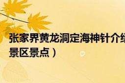 張家界黃龍洞定海神針介紹（定海神針 張家界武陵源黃龍洞景區(qū)景點）