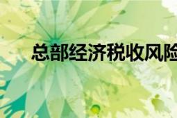 總部經(jīng)濟(jì)稅收風(fēng)險(xiǎn)（總部經(jīng)濟(jì) 第二版）