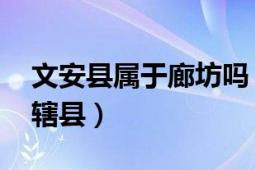 文安縣屬于廊坊嗎（文安縣 河北省廊坊市下轄縣）